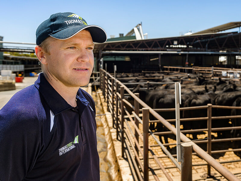 Contact about Livestock Enquiries