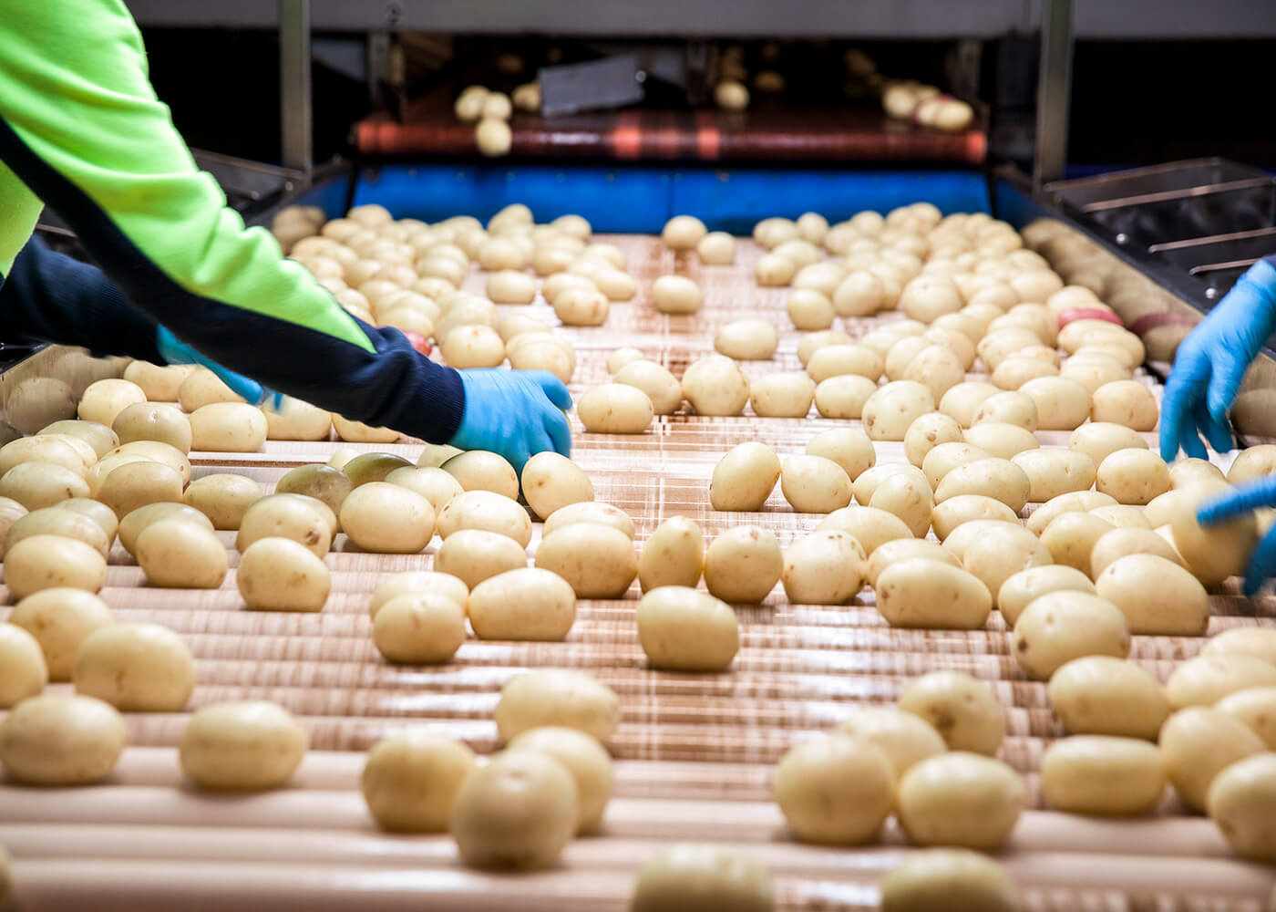 High quality fresh produce