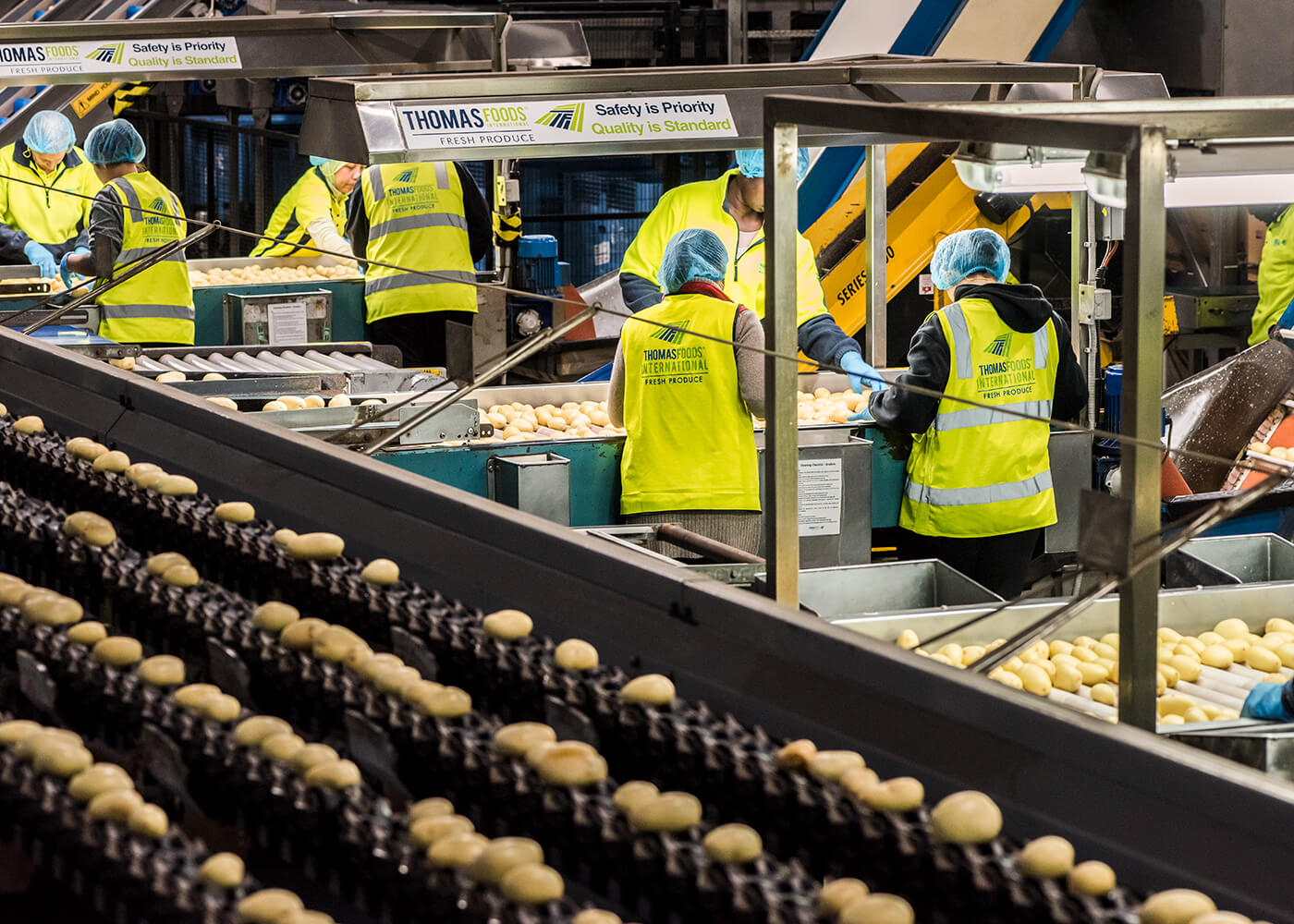 Fresh Produce - Safety